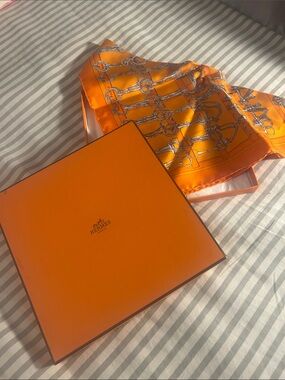 Authentic Vintage Hermes Mors de Filets silk scarf